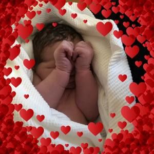 Meet your Posher, Liz